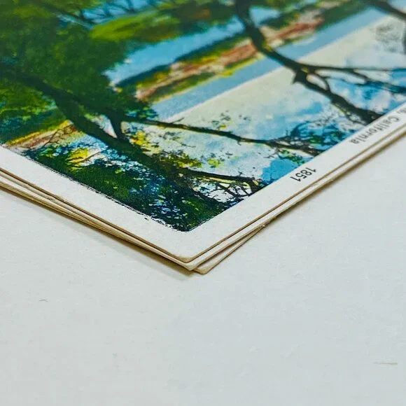 Genuine Antique 1920s Stanford University Memorabilia Postcards - Picture 12 of 13